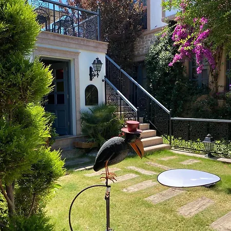 Pensión Ziyabey Konagi